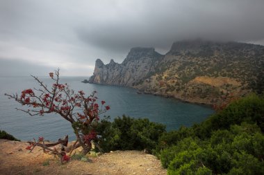 Crimea. Gloomy morning clipart