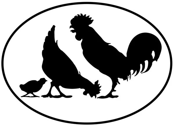 Stock vector Chicken family