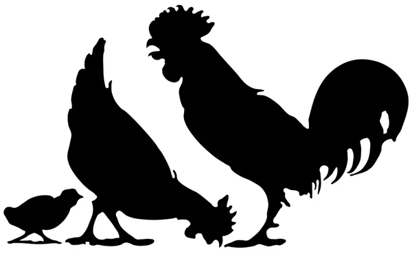 Familia de pollos — Vector de stock