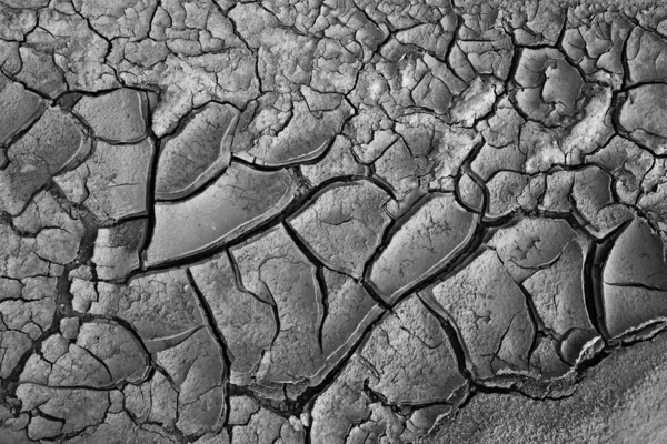 Stock image Mud texture