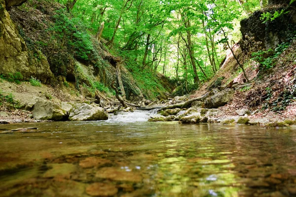 stock image Mountain spring