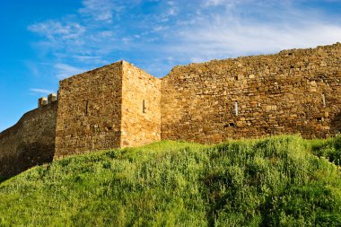 duvar ve Ceneviz kalesinin Kulesi