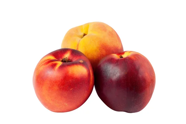 桃和油桃 — 图库照片