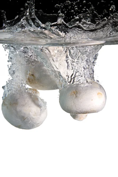 Mushrooms in water — Stock Photo, Image