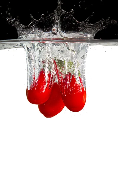 在水中的西红柿 — 图库照片