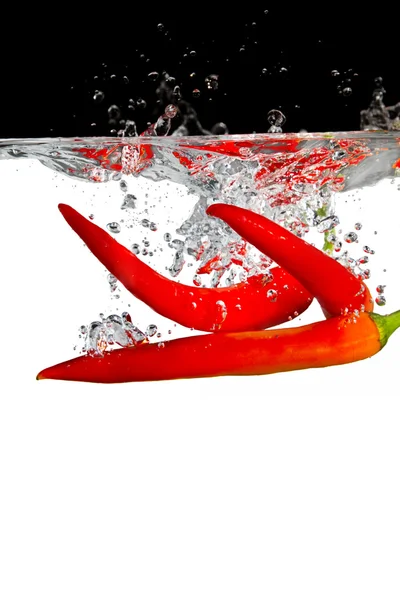 Chile rojo en agua — Foto de Stock