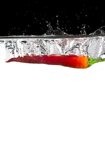 Červené chilli ve vodě — Stock fotografie