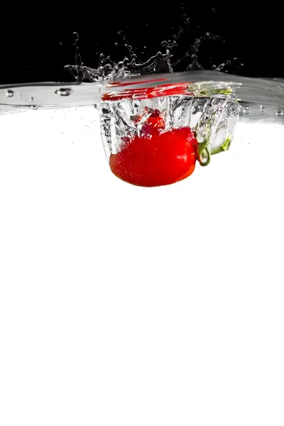 水のトマト — ストック写真