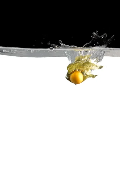 Physalis in water — Stock Photo, Image