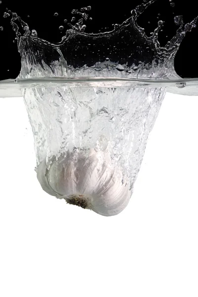 Garlic in water — Stock Photo, Image