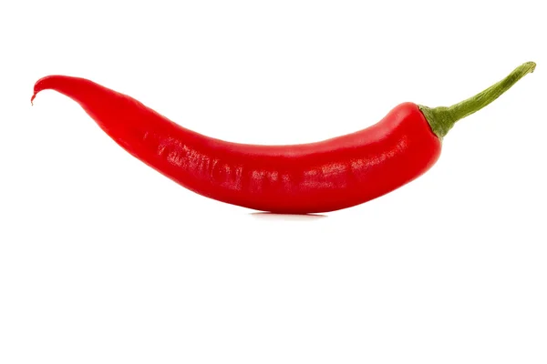 Rote Chili — Stockfoto