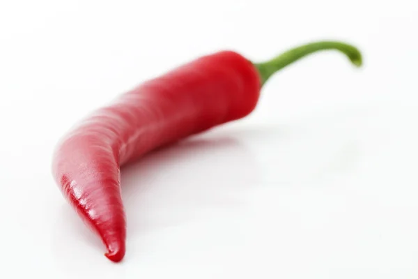 One red chili in depth — ストック写真