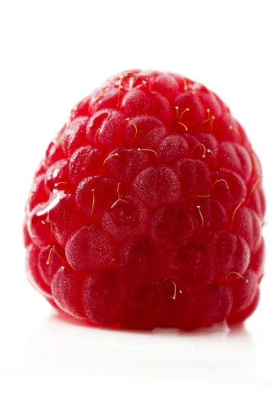 Raspberry close-up — Stockfoto