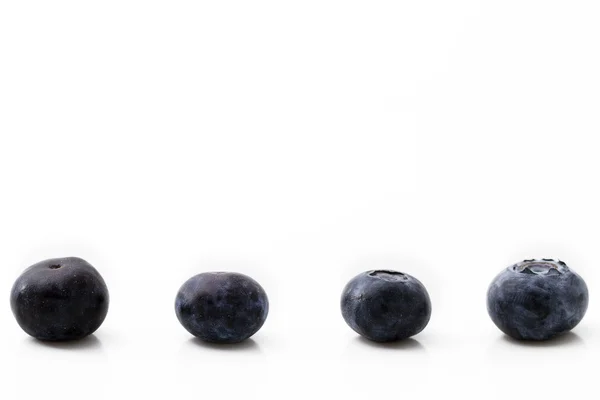 四个蓝莓 — 图库照片