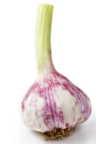 Purple garlic — Stock Photo, Image