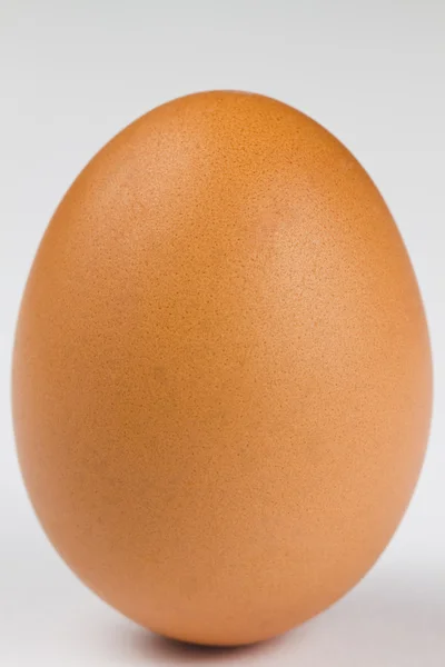 Primer plano huevo marrón —  Fotos de Stock