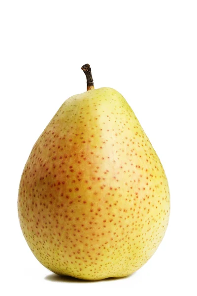 One pear — Stock Photo, Image