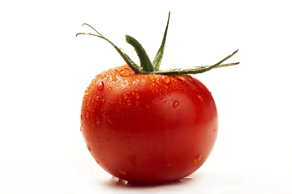 湿式トマト — ストック写真