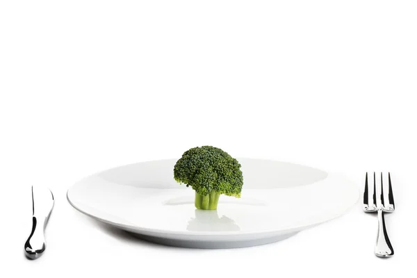 盘子里的花椰菜 — 图库照片