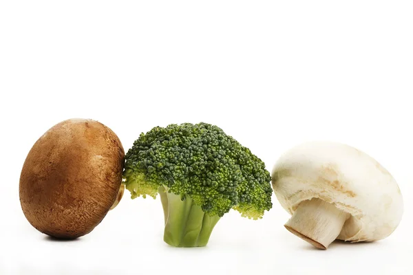 Brokoli coklat dan jamur putih — Stok Foto