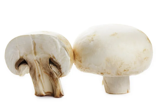 stock image White mushroom and a half