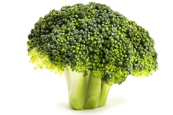 Satu brokoli putih — Stok Foto