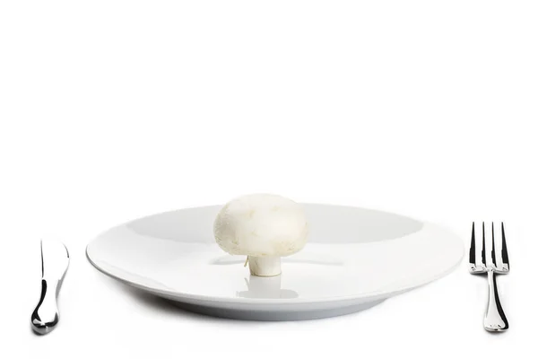 Pilz auf einem Teller — Stockfoto