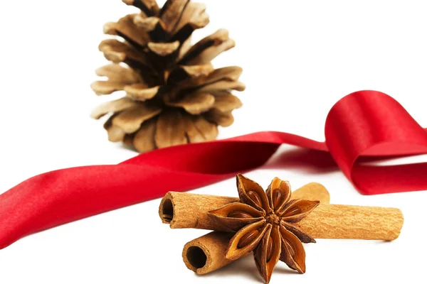 Star anise cinnamon sticks conifer cone and a red ribbon — Stock Photo, Image