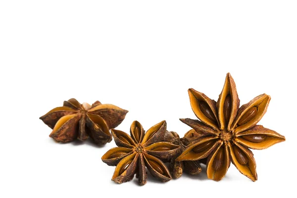 Some star anise — Stock Photo, Image