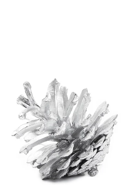 Gümüş boyalı Ladin koni — Stok fotoğraf