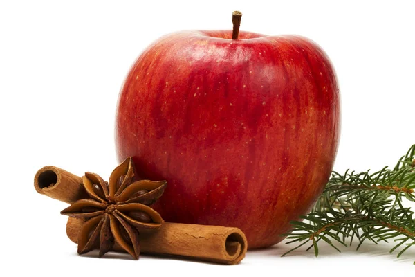 Ветка анисовой корицы с яблочной звездой — стоковое фото