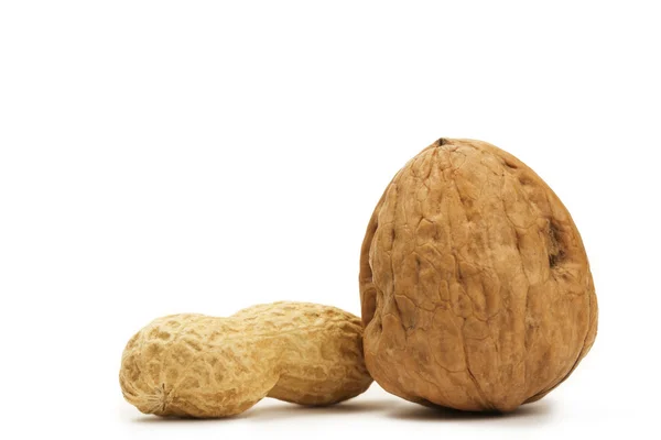 Peanut and a walnut — Stock Photo, Image