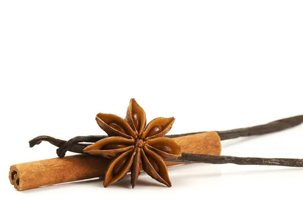 Kanelstång stjärnanis och två vanilj bönor — Stockfoto