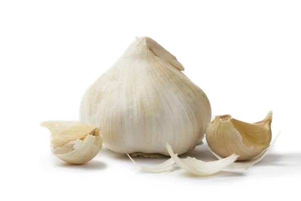 White garlic with garlic cloves — Stock Photo, Image