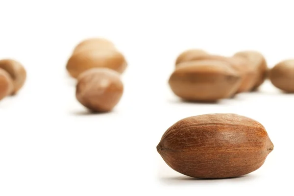 One pecan in front of others — Stock Photo, Image
