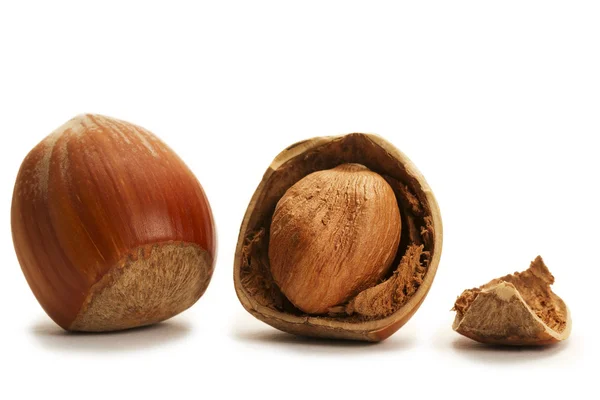 Popraskané a uzavřené lískové ořechy — Stock fotografie
