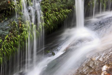 Beautiful small creek and waterfall clipart