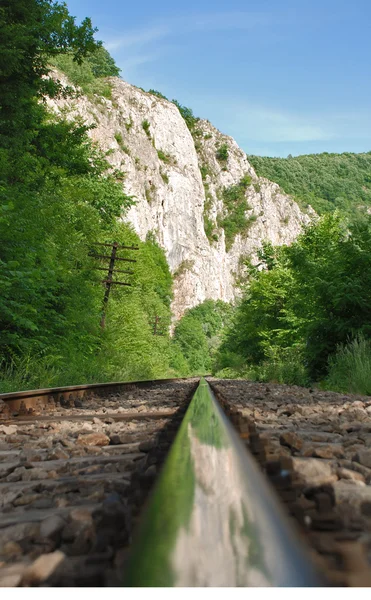 Eisenbahn in den Bergen lizenzfreie Stockfotos