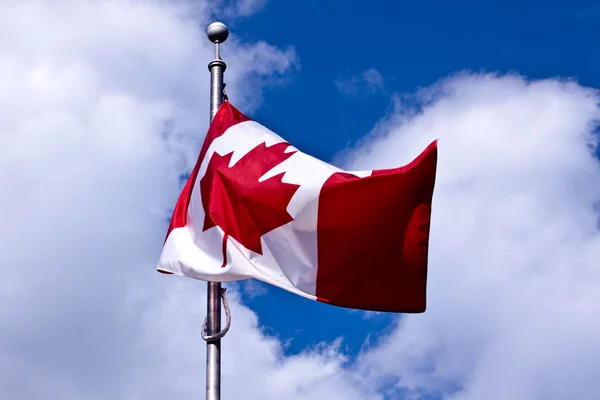 Stock image Flag of Canada