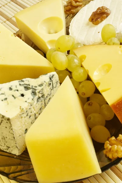 stock image Cheese plate