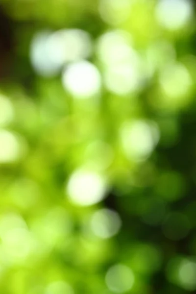 Abstracte groene onscherpe achtergrond — Stockfoto