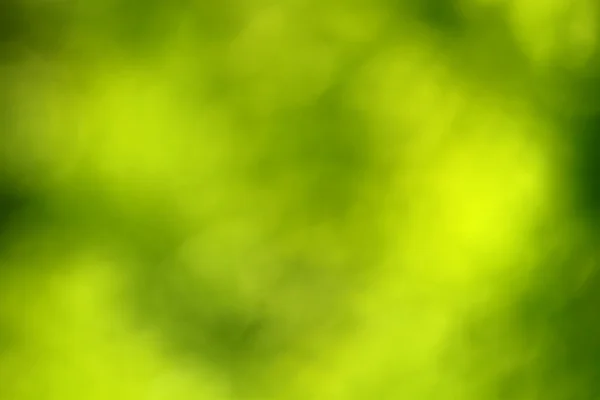 Abstrakt grön suddig bakgrund — Stockfoto