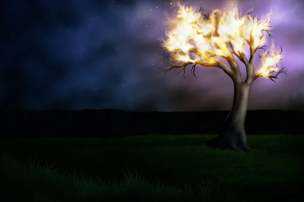 Brinnande träd — Stockfoto