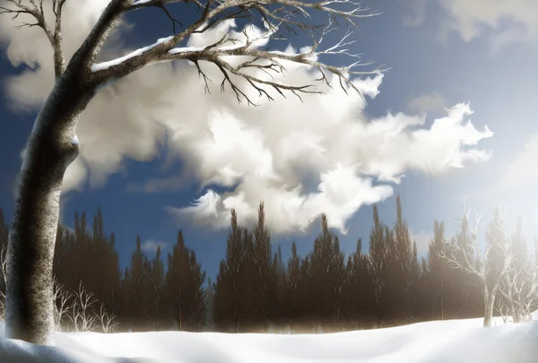 Schneefeld unter flauschigen Wolken — Stockfoto