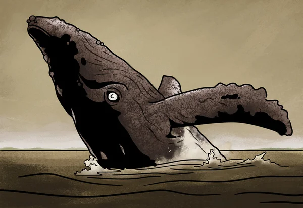 Whale bryter mot vattnet — Stockfoto