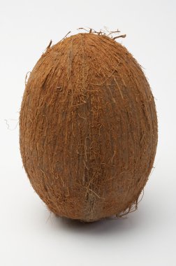 Hindistan cevizi