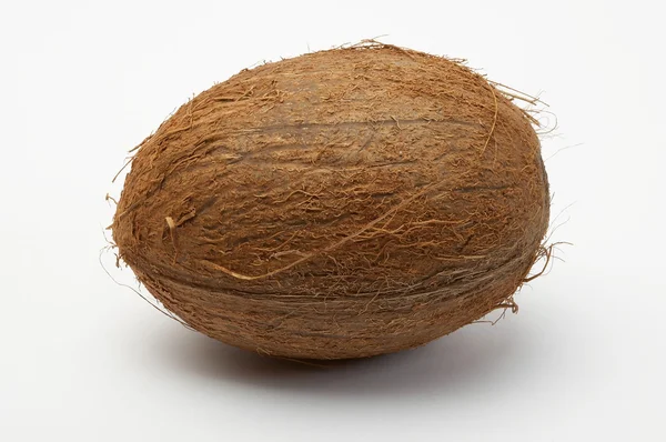 Kokosnöt — Stockfoto