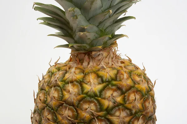 菠萝 — 图库照片