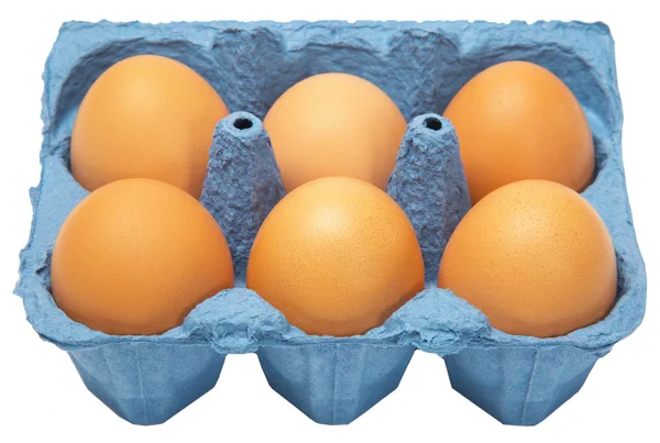 Karton šesti vajec — Stock fotografie