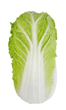 Green Cabbage XXL clipart